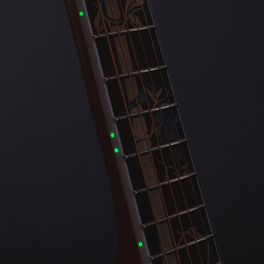 Lindo Voyager V2 + Hard Case