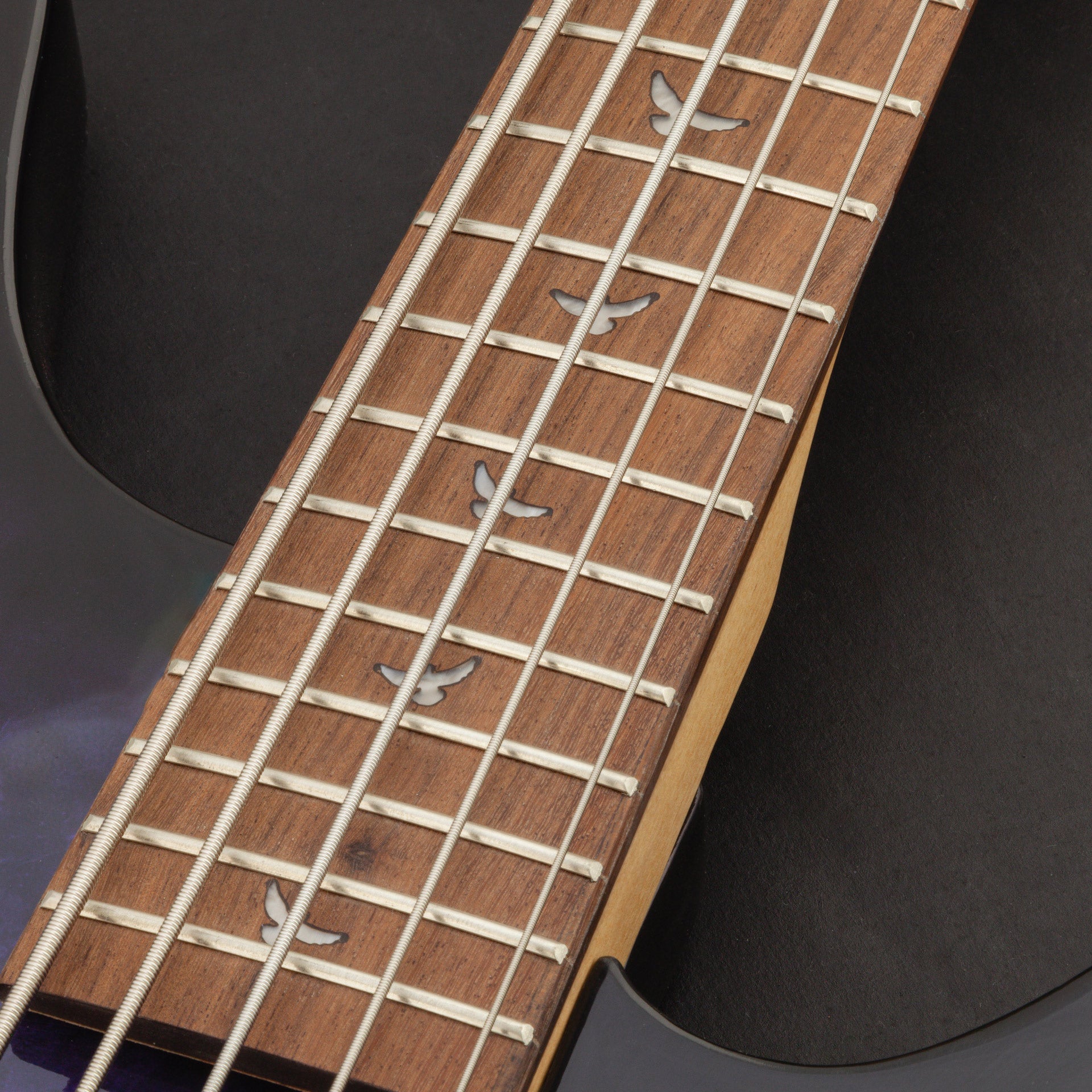 Lindo PDB-5 V2